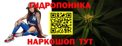 крисы Донской