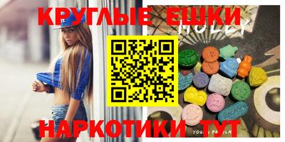 амф Гусев