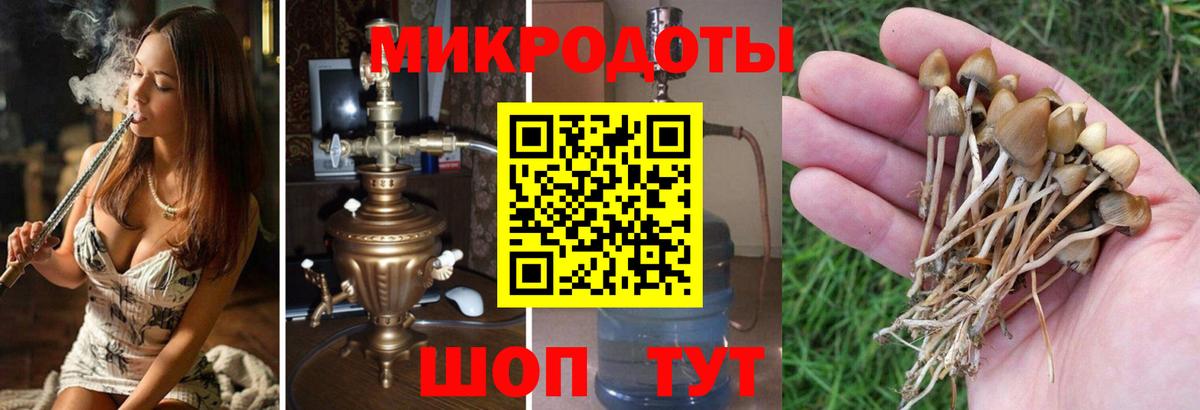 Псилоцибиновые грибы прущие грибы  Галлюциногенные грибы MAGIC MUSHROOMS  Вход с VPN  Мценск 